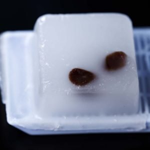 MagSi-DNA FFPE