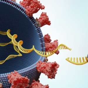 MagSi-NA Pathogens