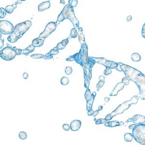 MagSi-cfDNA