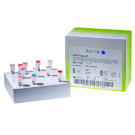 HHV6 R-GENE®