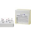 B. PARAPERTUSSIS R-GENE®